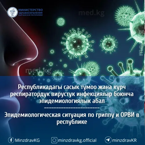 Сасык тумоо жана курч респиратордук вирустук инфекциялар боюнча эпидемиологиялык кырдаал