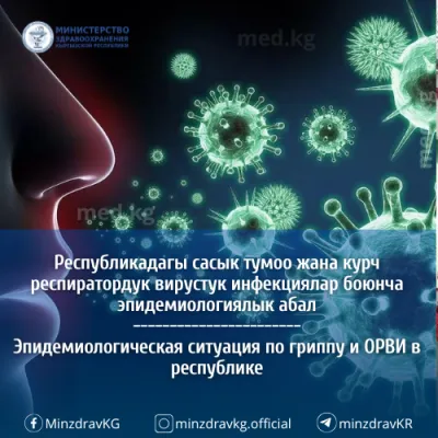 Сасык тумоо жана курч респиратордук вирустук инфекциялар боюнча эпидемиологиялык кырдаал